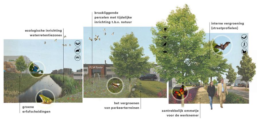collage bedrijventerreinen
