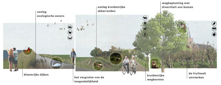 Collage landelijk gebied