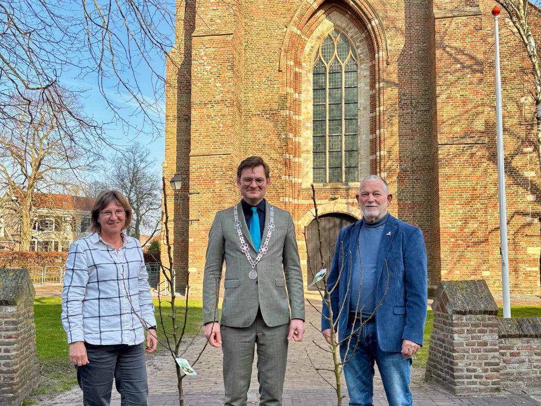 Burgemeester overhandigt perenboom aan inwoner voor de kerk van Kapelle