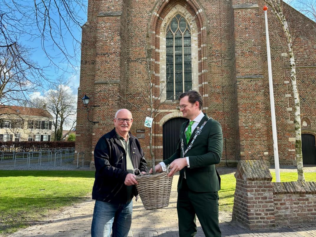 Burgemeester overhandigt een perenboom aan inwoner voor de kerk van Kapele