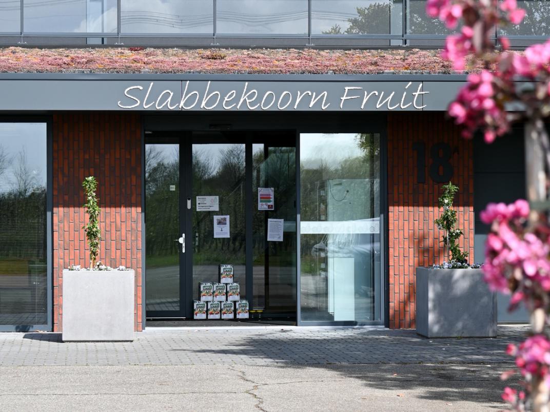 Ingang pand Slabbekoorn Fruit