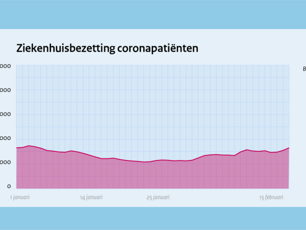 Ziekenhuisbezetting
